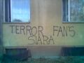 Terror fans Siara.jpg