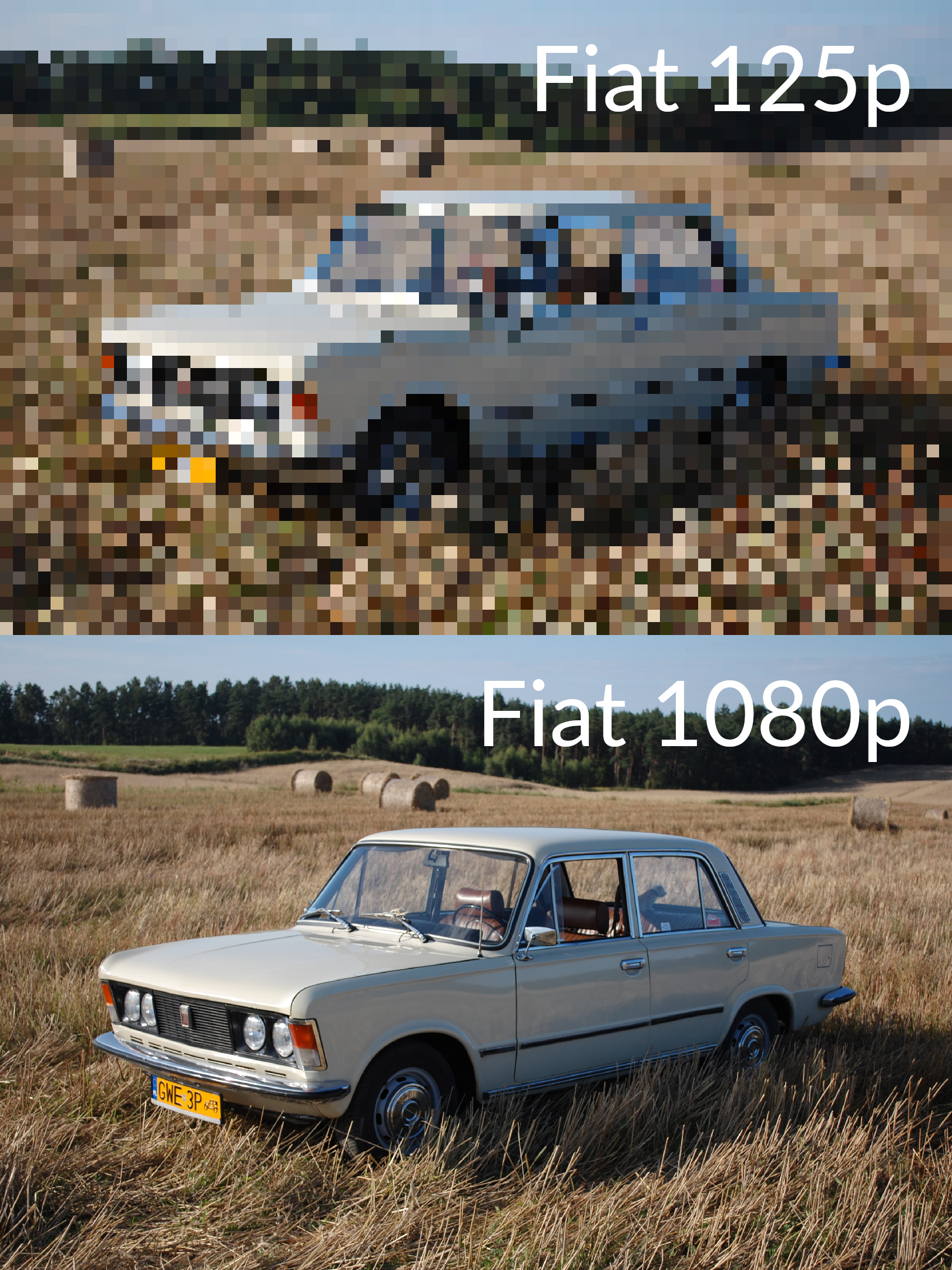 Fiat.jpg