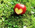Jabłko z sercem.jpg