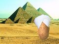 Kartofel w Egipcie.jpg