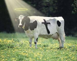 Holy+cow.jpg