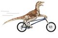 Velociraptor na rowerze.jpg