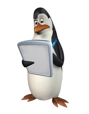 Pingwiny kowalski.jpg