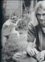 W tym wypadku, kotek czekał na starość, a Cobain wziął sprawy w swoje ręce. Kogo ludzkość pamięta?