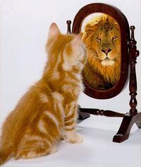 Cat-lion.jpg