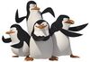 Pingwiny z Madagaskaru.jpg