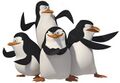 Pingwiny z Madagaskaru.jpg