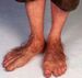 Hobbit feet.jpg