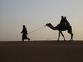 Camel i Ahmed.jpg