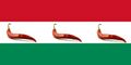 Właściwa flaga Węgier.JPG