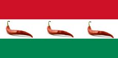 Flaga Węgier. Ta prawdziwa...