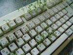 Spring keyboard.jpg