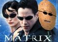 Kartofel in Matrix.jpg