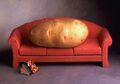 Couch potato.jpg