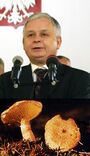 Prezydent Kaczyński w obstawie borowików