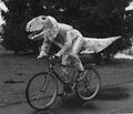 T.Rex rower.jpg