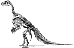 Tyrannosaurus-148320 640.png