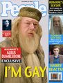 Dumbledore gay.jpg