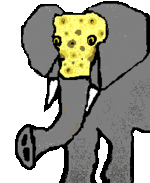 Starszy brat słonia z serem zamiast głowy