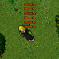 Tibia7.PNG
