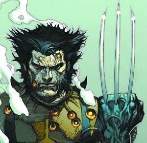 Wolverine.jpg