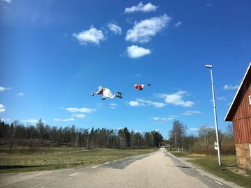 Szwedzkie linie lotnicze.jpg