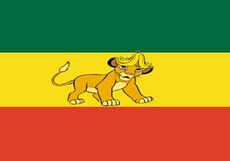Flaga z lwem