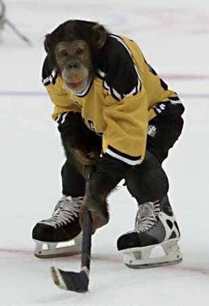 Ice hockey monkey.jpg
