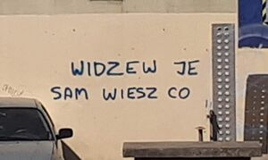 Widzew je sam wiesz co.jpg